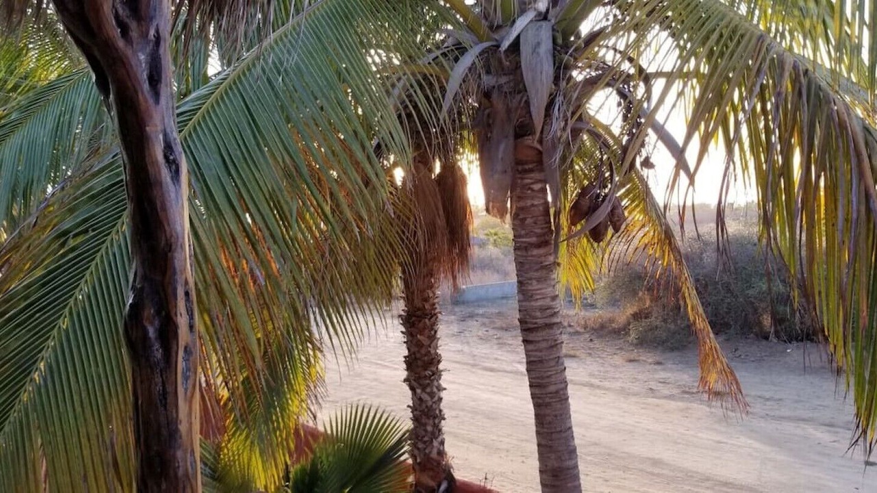 Photo of Outdoor in Elias Calles