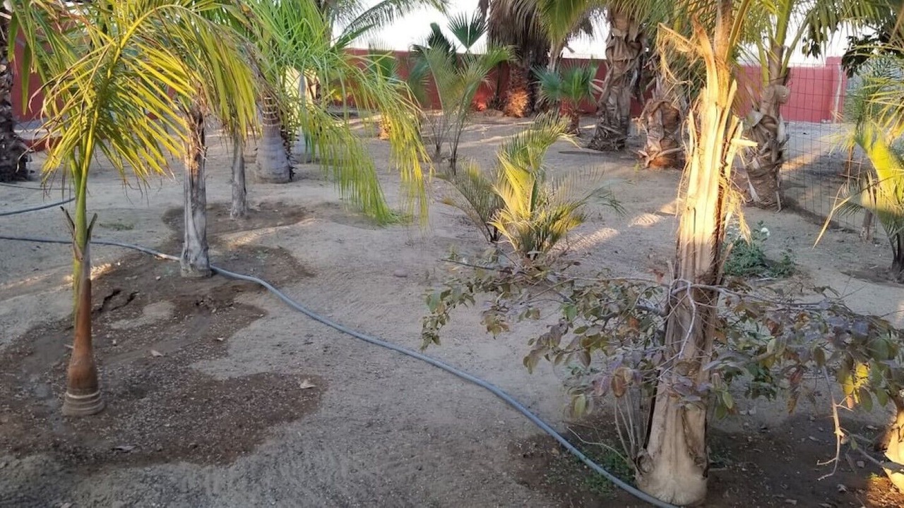 Photo of Outdoor in Elias Calles