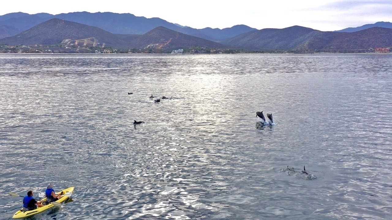 Photo of Others in Los Barriles