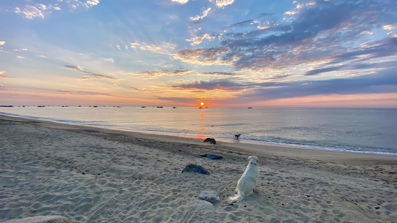 Photo of Others in Los Barriles