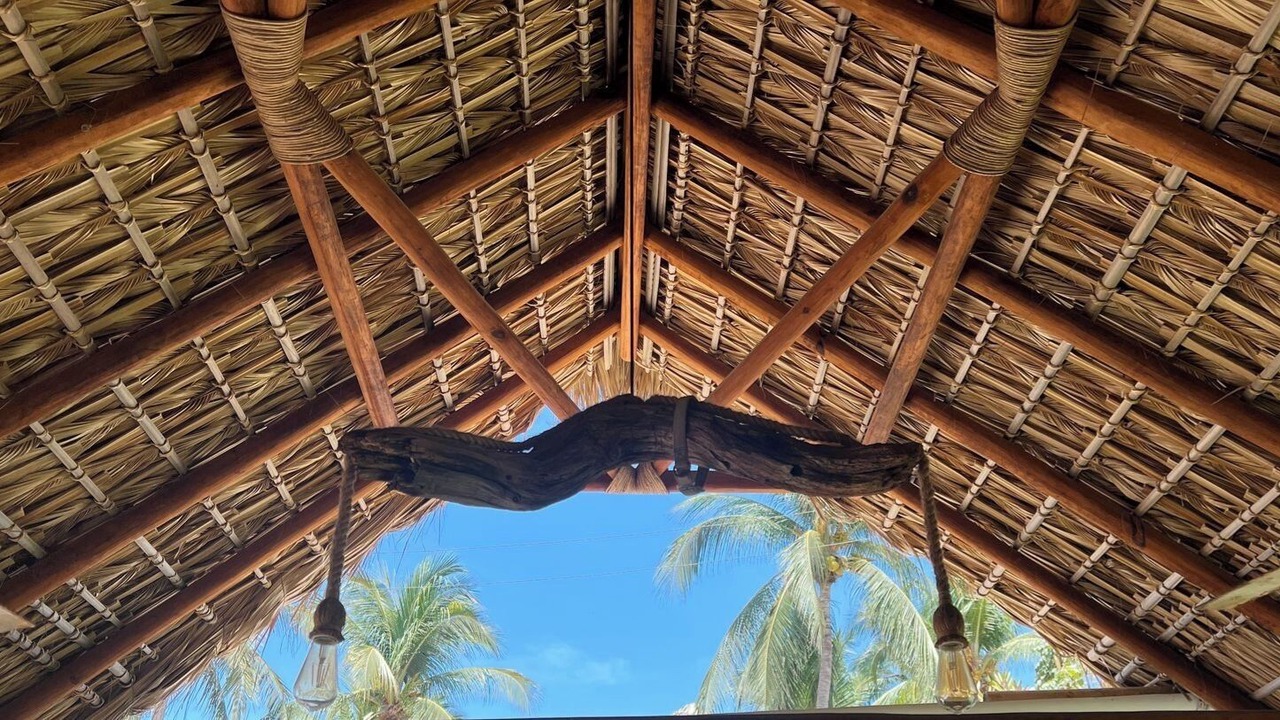 Photo of Outdoor in Los Tamarindos