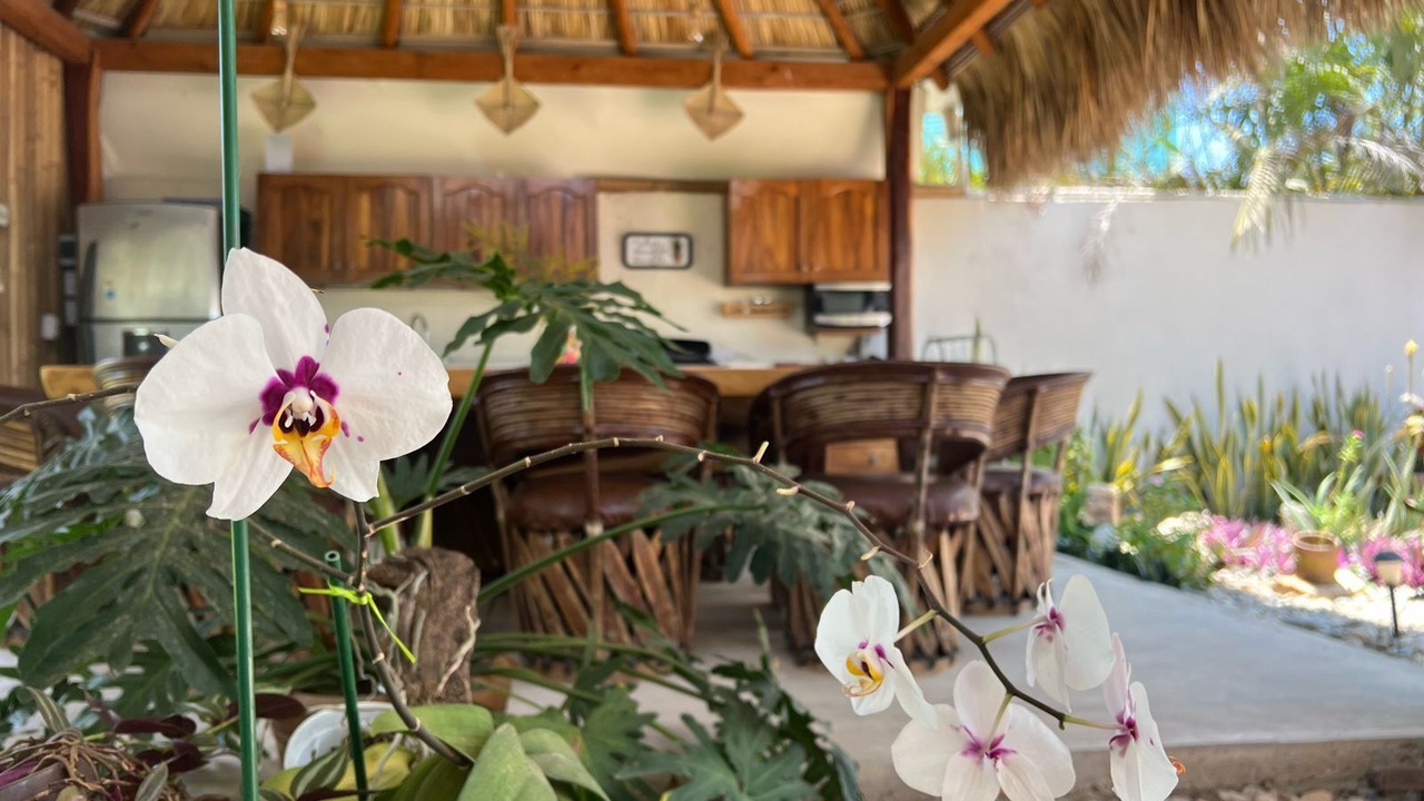 Photo of Outdoor in Los Tamarindos
