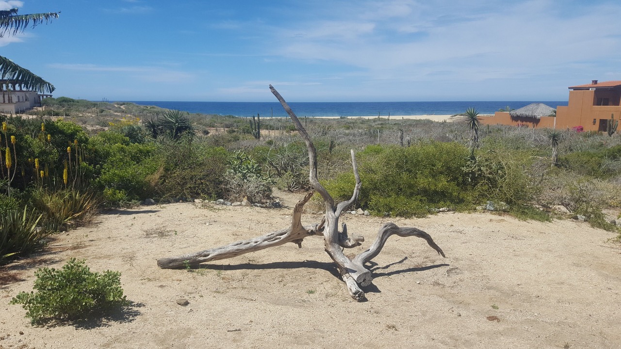Photo of Others in El Pescadero