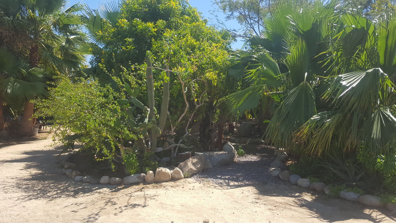 Photo of Others in El Pescadero