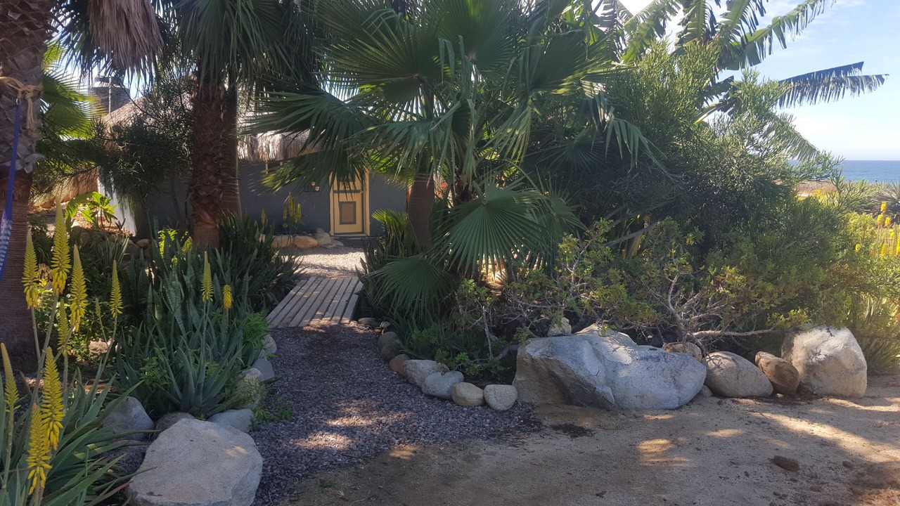 Photo of Outdoor in El Pescadero