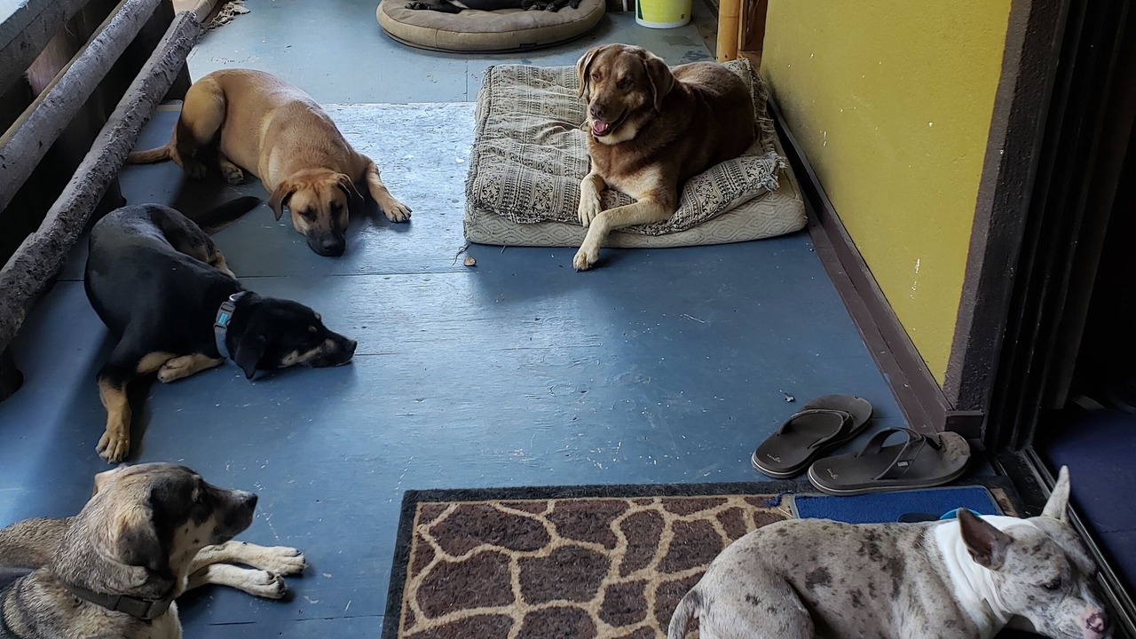 Photo of Others in El Pescadero
