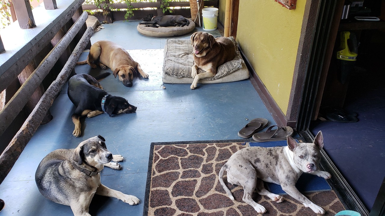 Photo of Others in El Pescadero