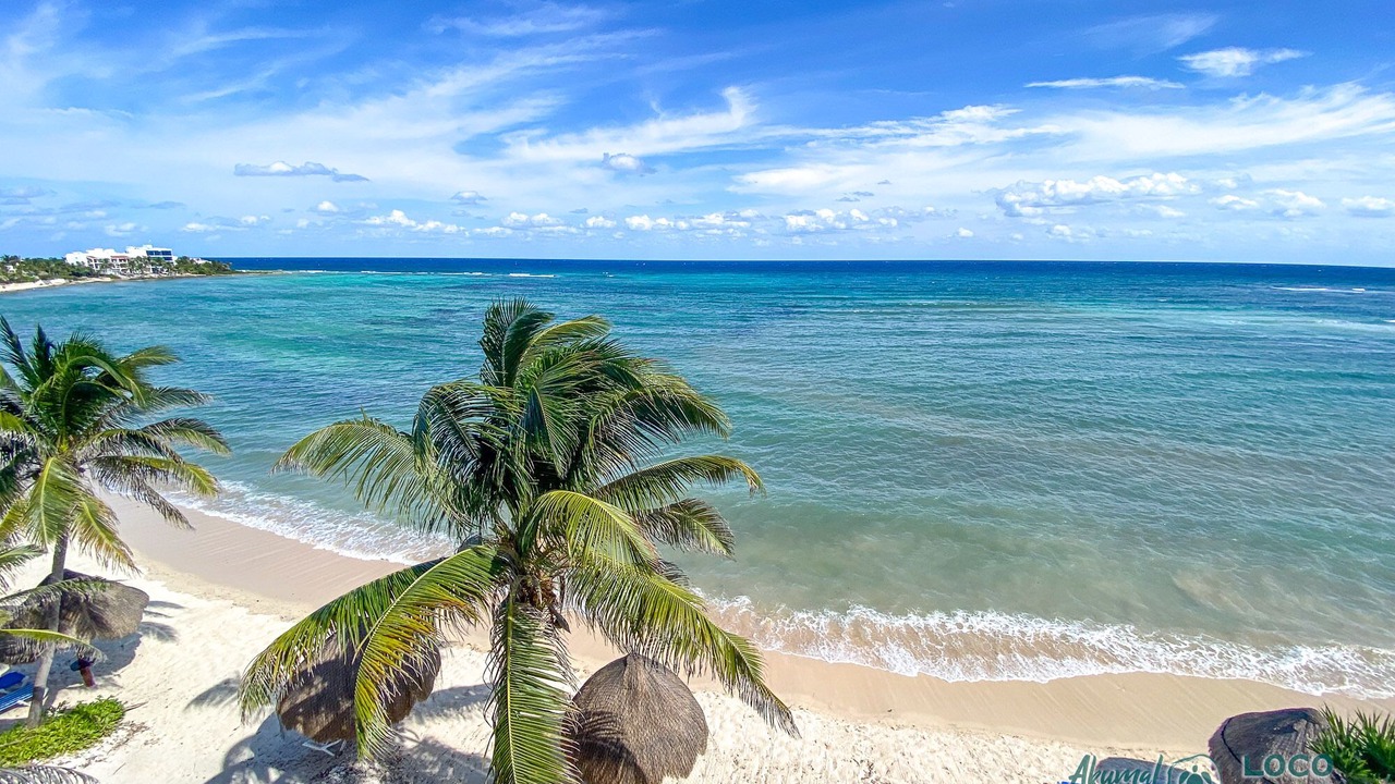 Photo of Others in Akumal