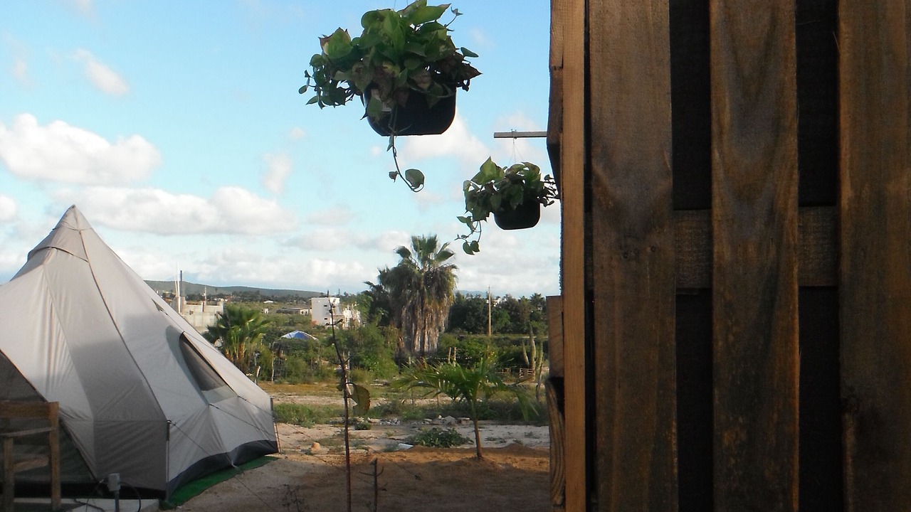 Photo of Outdoor in Todos Santos