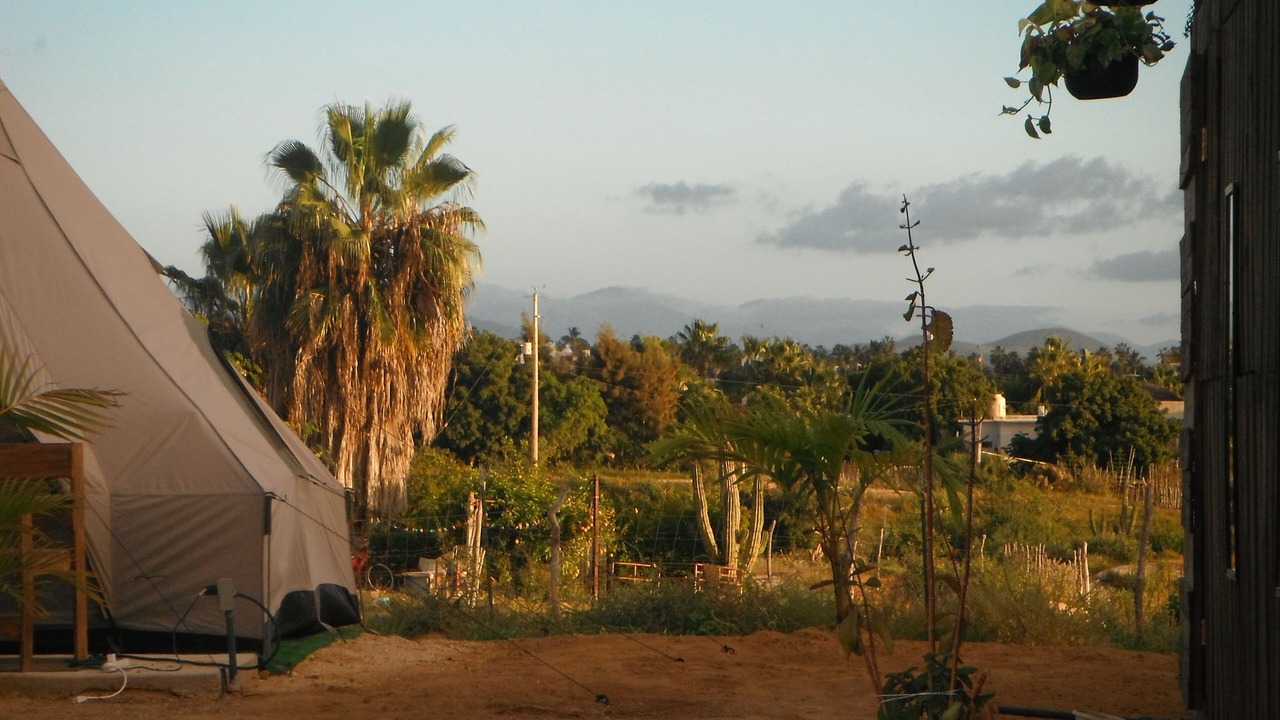 Photo of Outdoor in Todos Santos