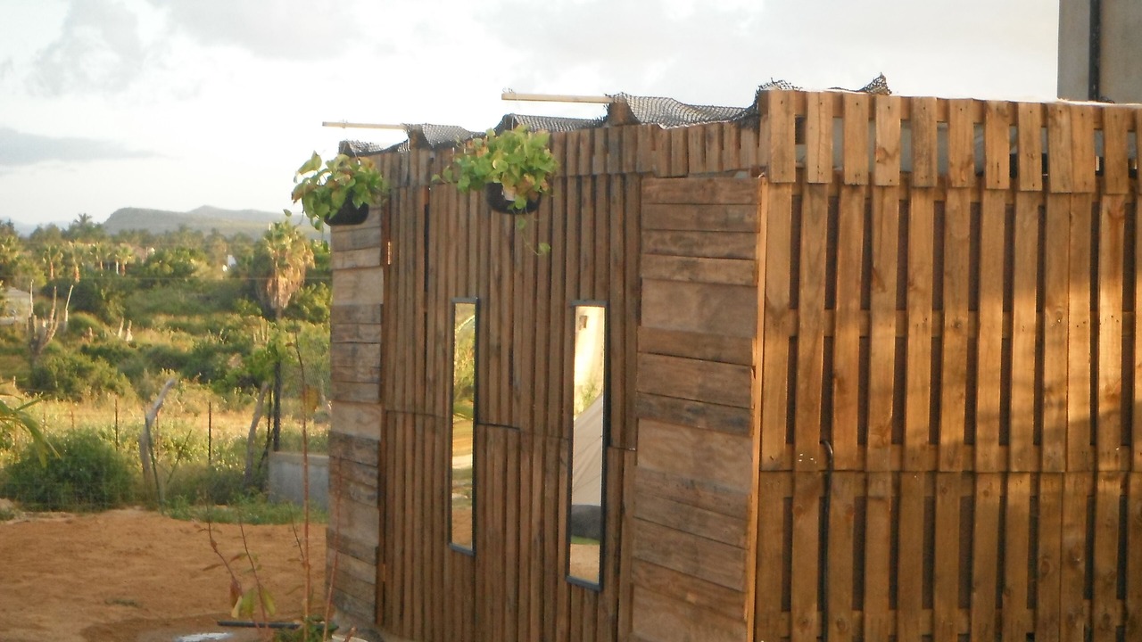 Photo of Outdoor in Todos Santos