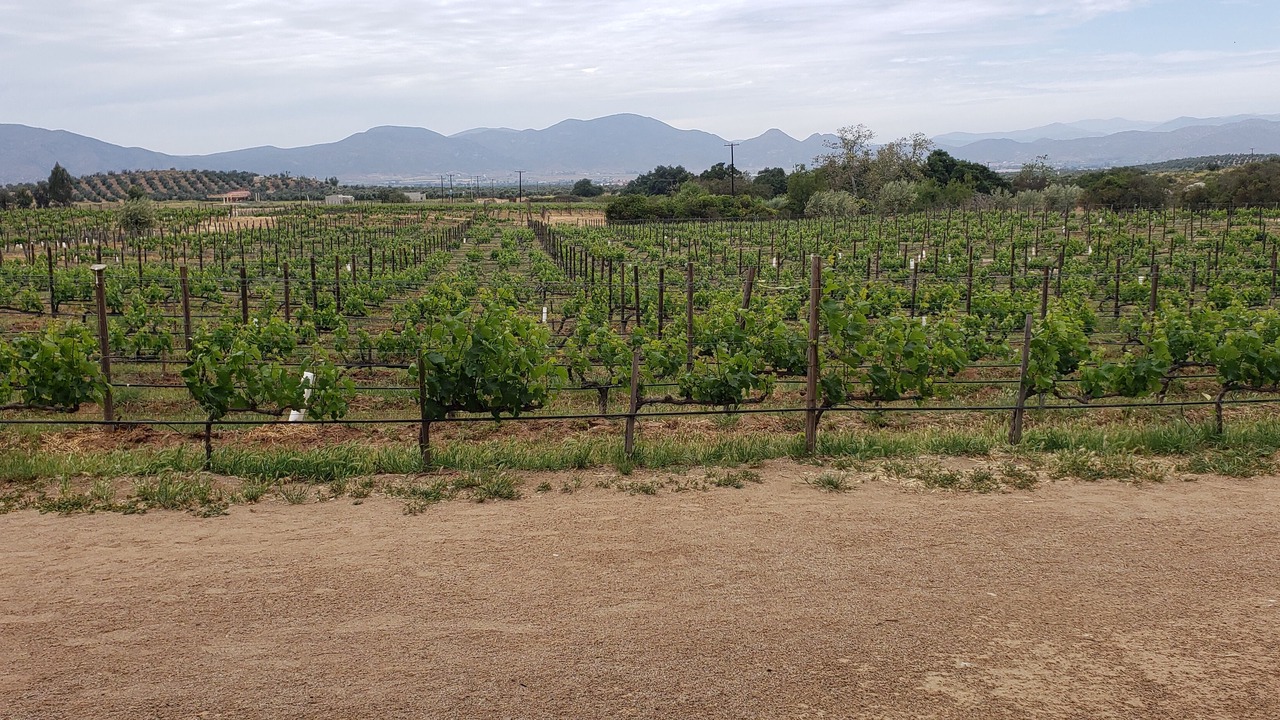 Photo of Outdoor in La Salina