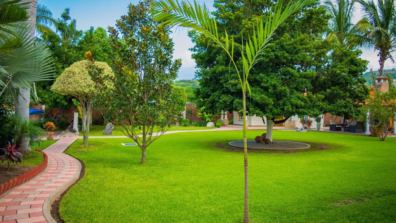 Photo of Outdoor in Ahuacatlan