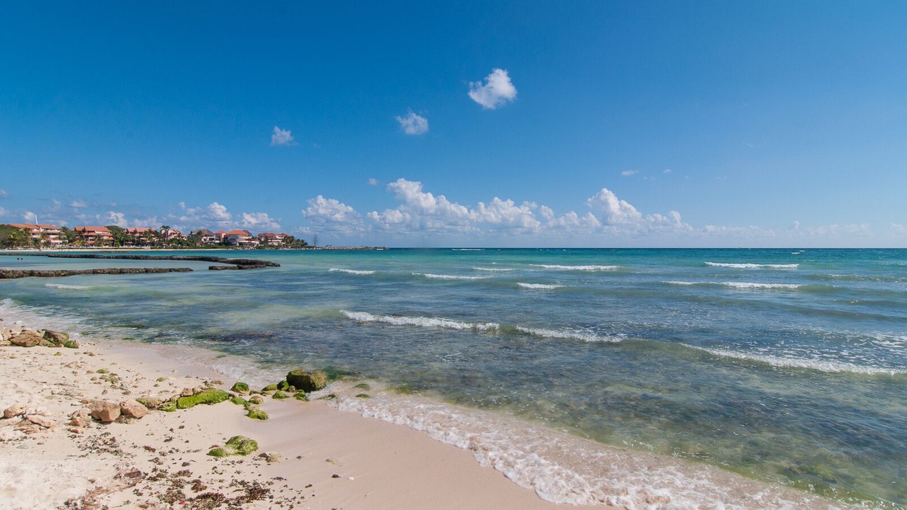 Photo of Others in Puerto Aventuras