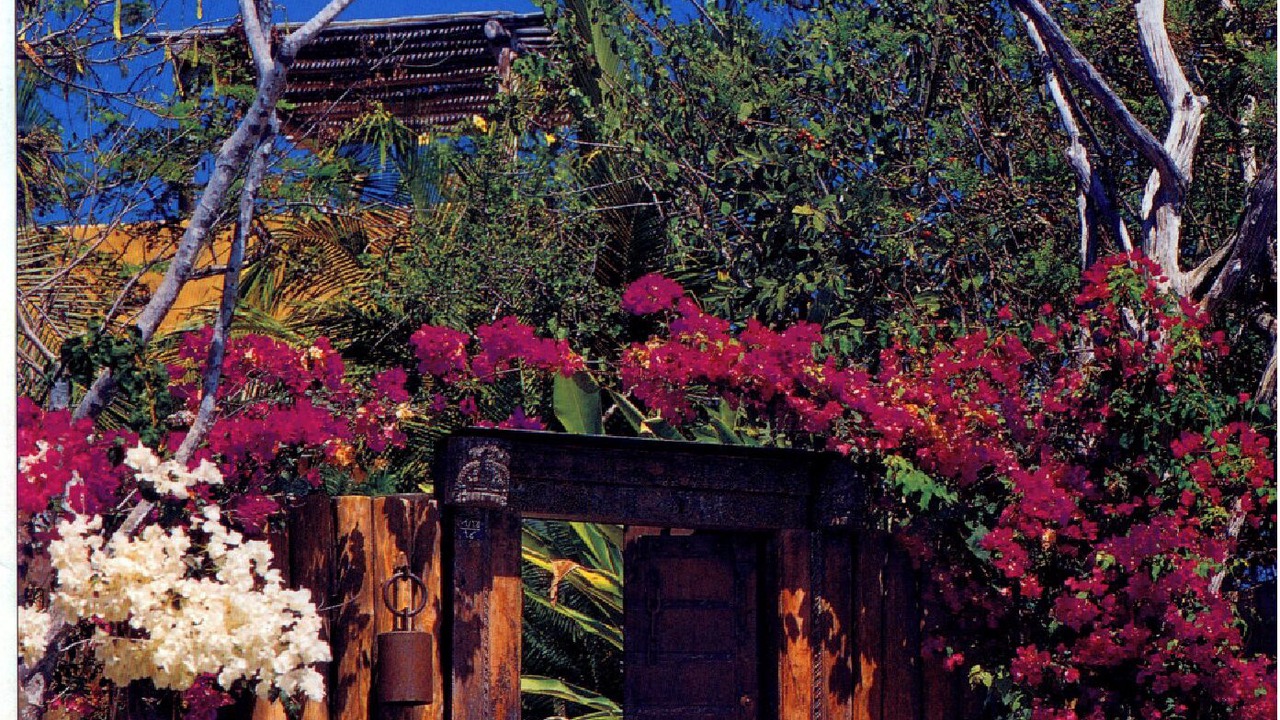 Photo of Outdoor in Ixtapa