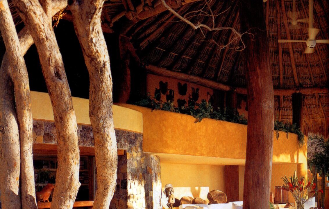 Photo of Outdoor in Ixtapa