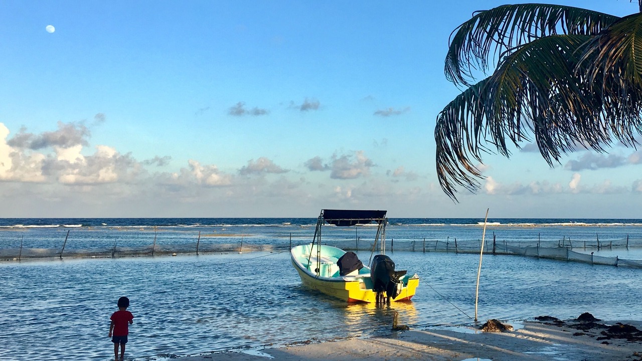 Photo of Others in Majahual