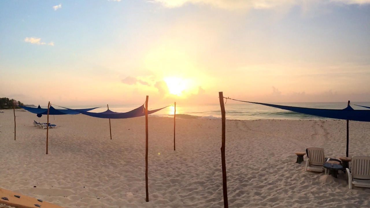Photo of Others in Playa del Secreto