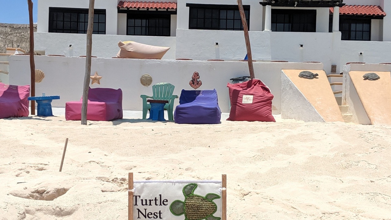 Photo of Others in Playa del Secreto