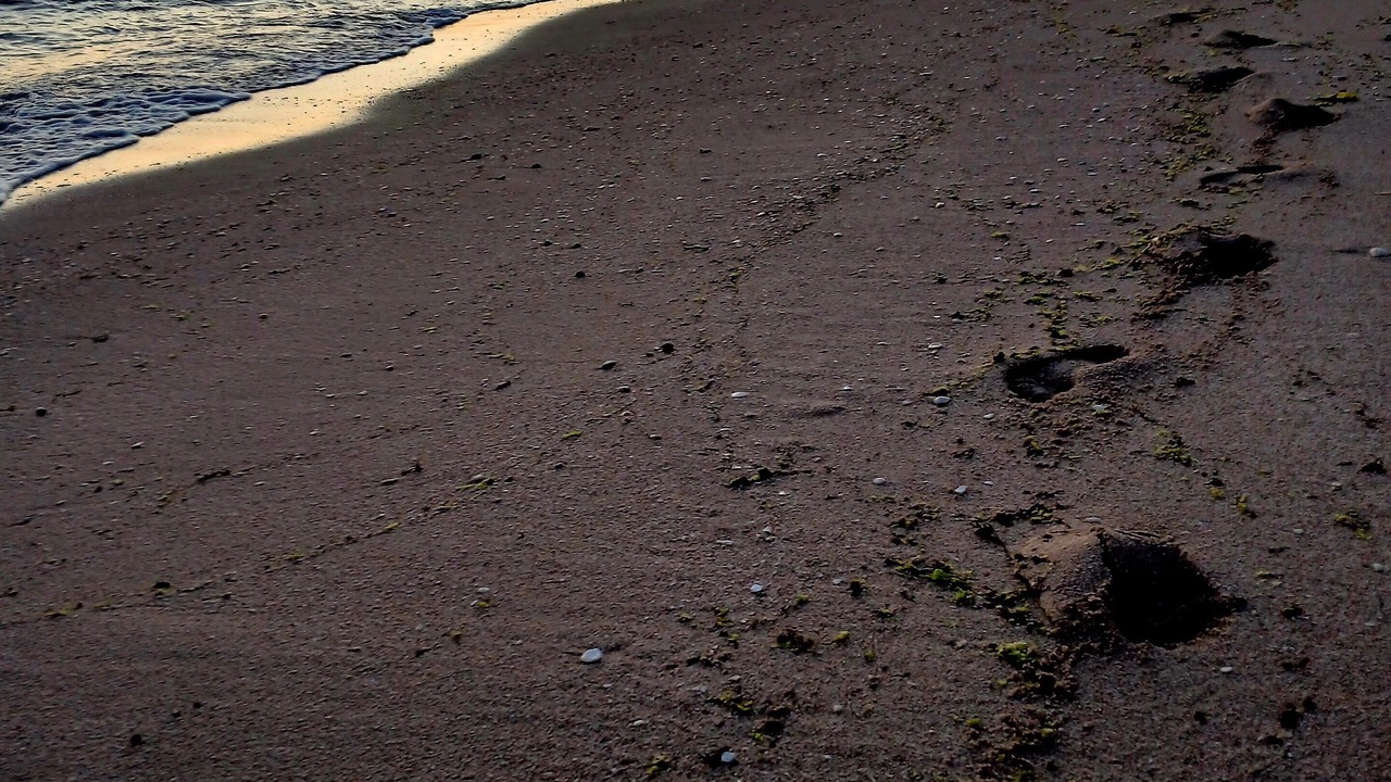 Photo of Others in Puerto Penasco