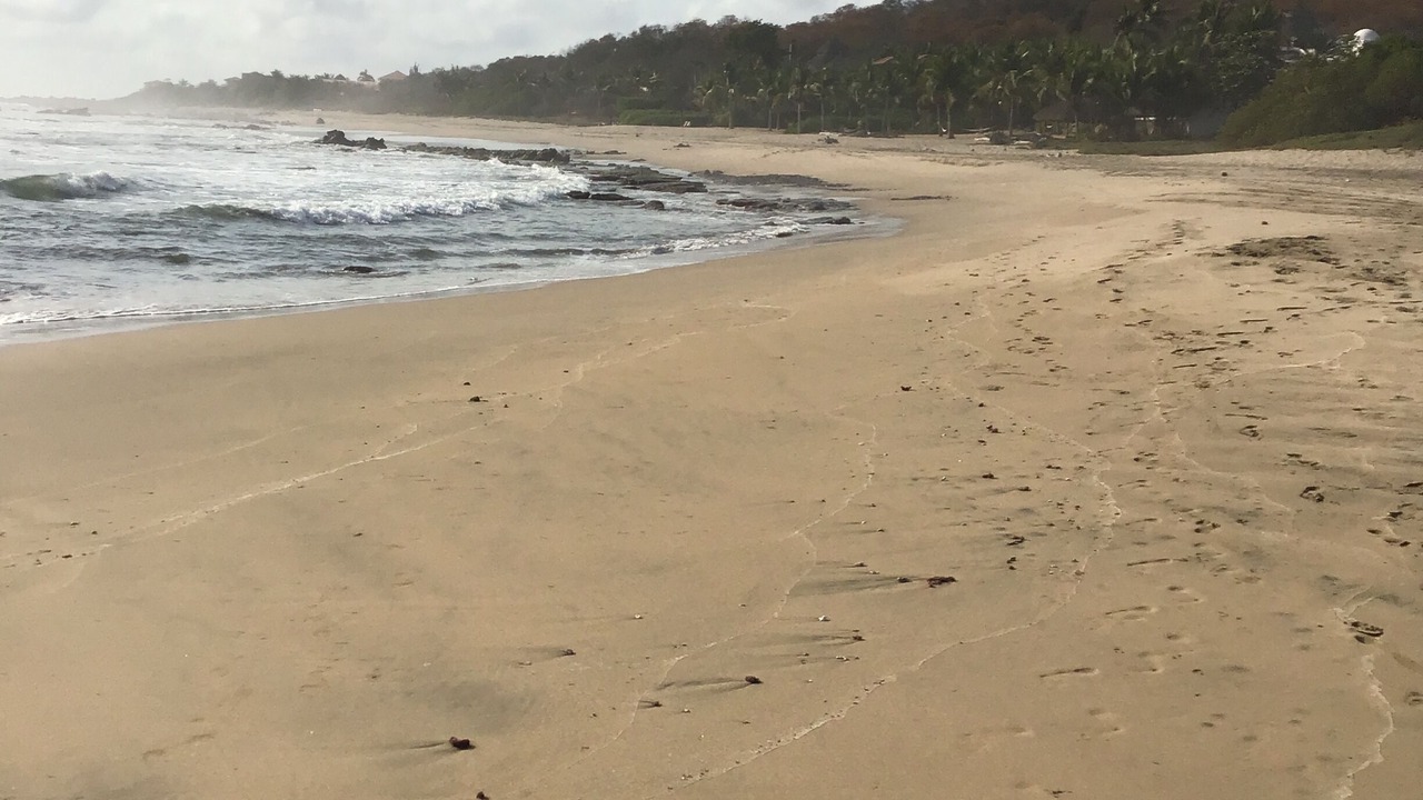 Photo of Others in Troncones