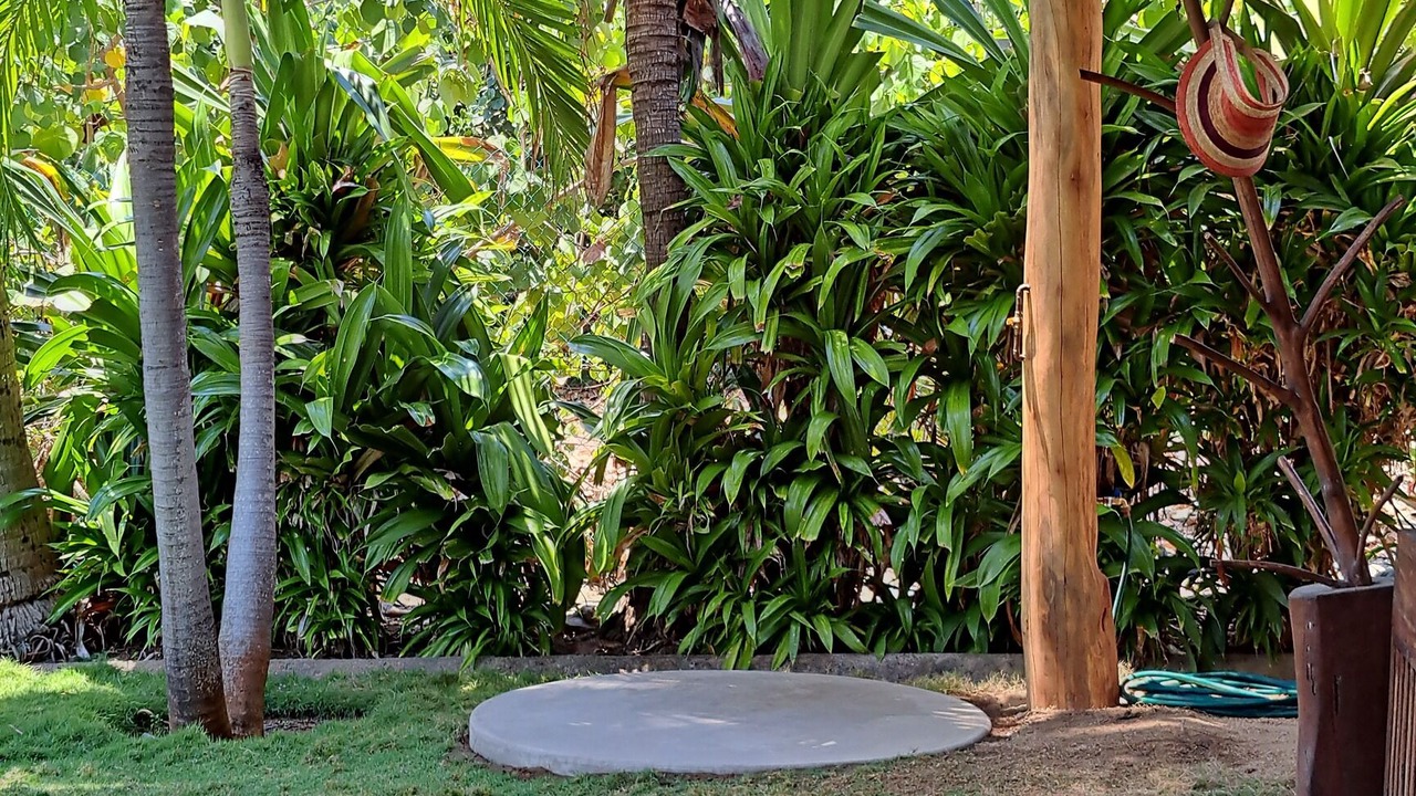 Photo of Outdoor in Troncones