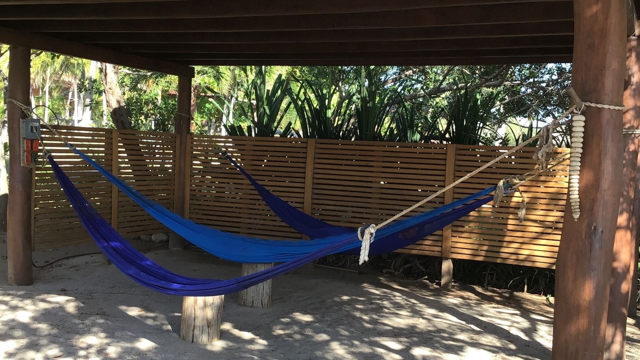 Photo of Others in Troncones