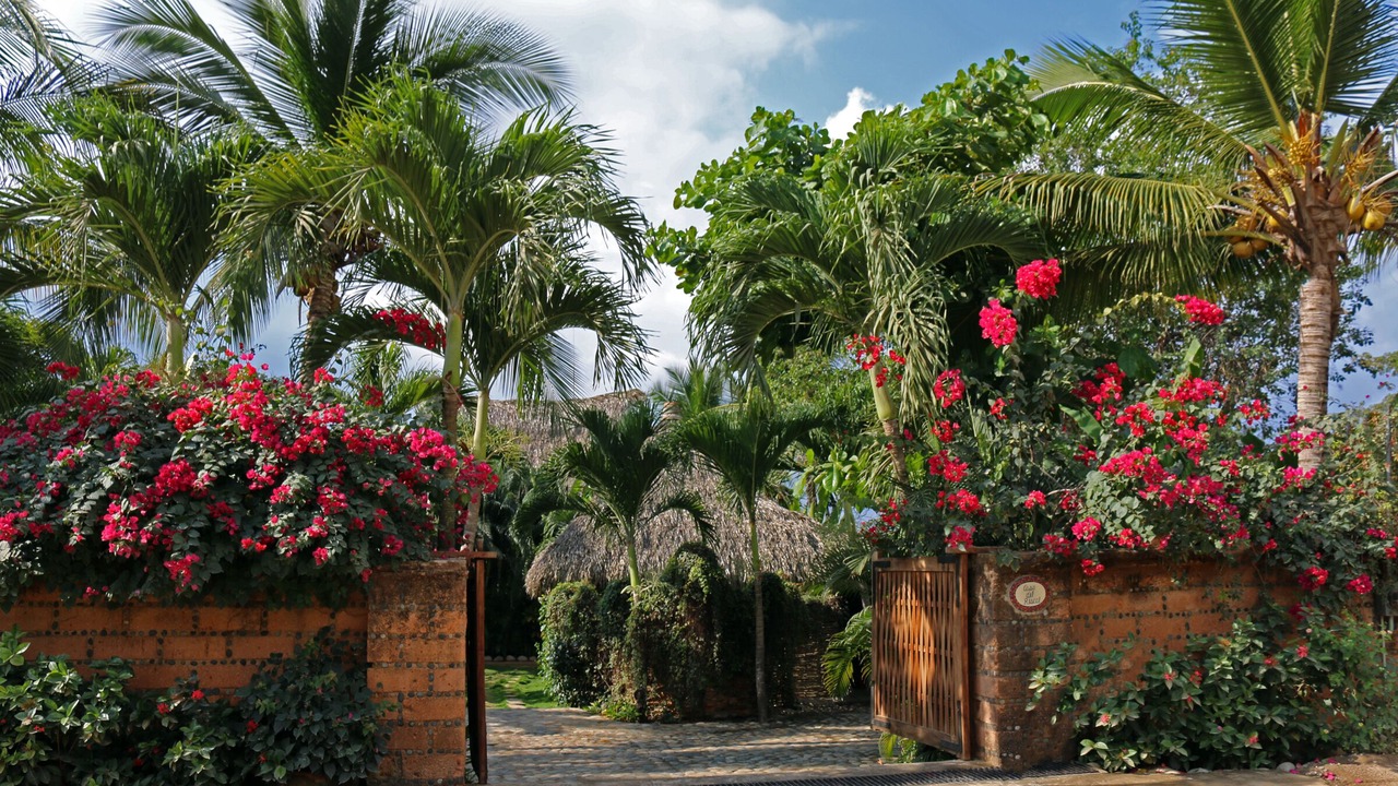 Photo of Others in Troncones