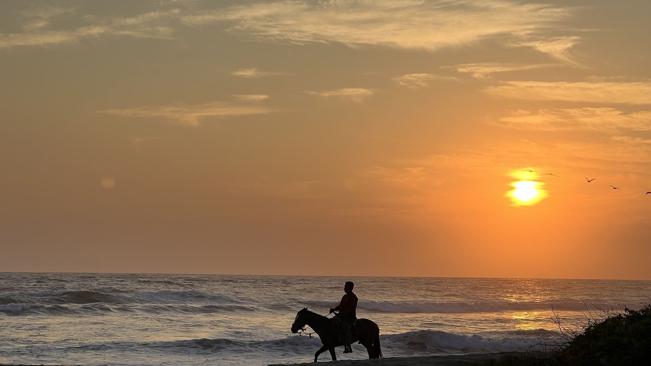 Photo of Others in Troncones