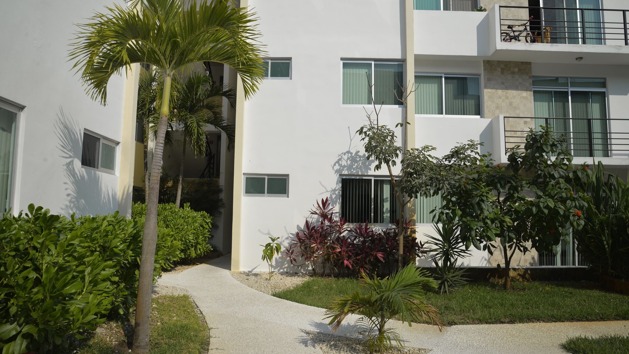 Photo of Outdoor in Puerto Juarez