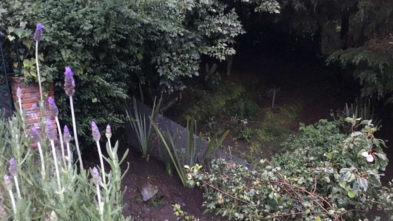 Photo of Outdoor in Mexico