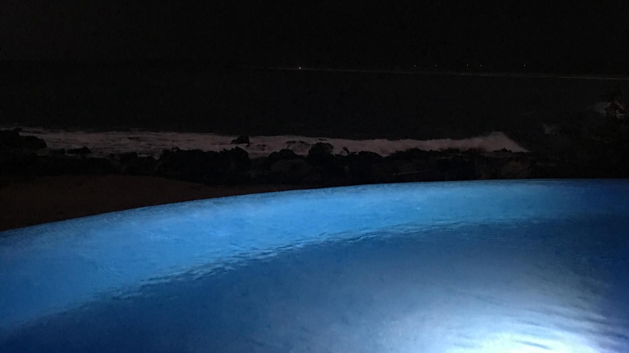Photo of Outdoor in Troncones