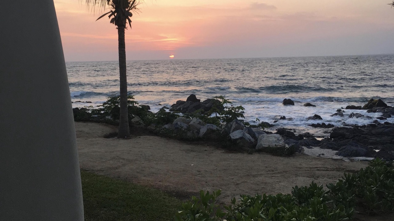Photo of Others in Troncones
