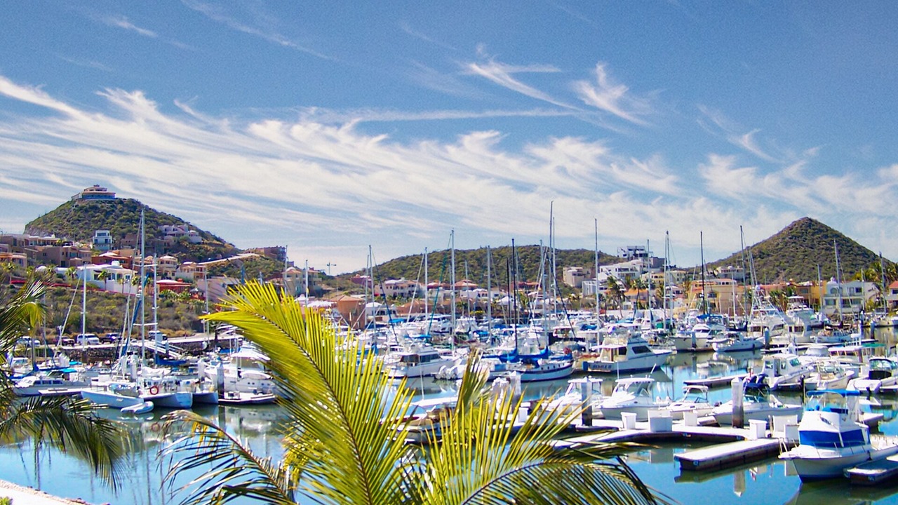 Photo of Others in Marina Real