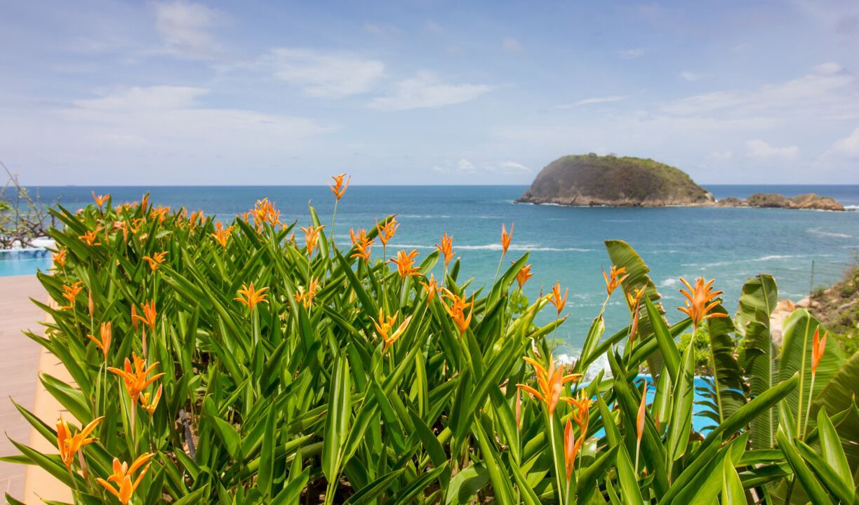 Photo of Others in Santa Maria Huatulco