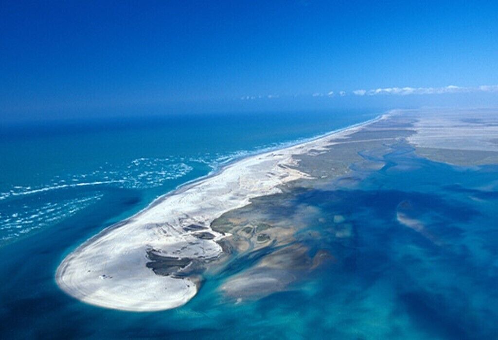 Photo of Others in Puerto Penasco