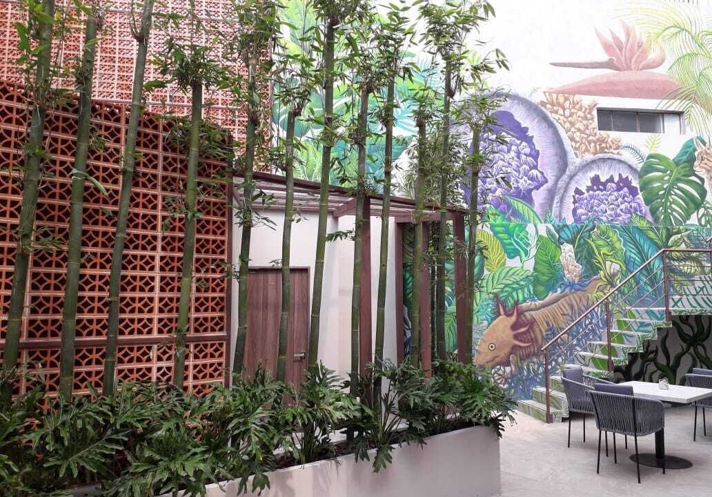 Photo of Outdoor in Del Carmen