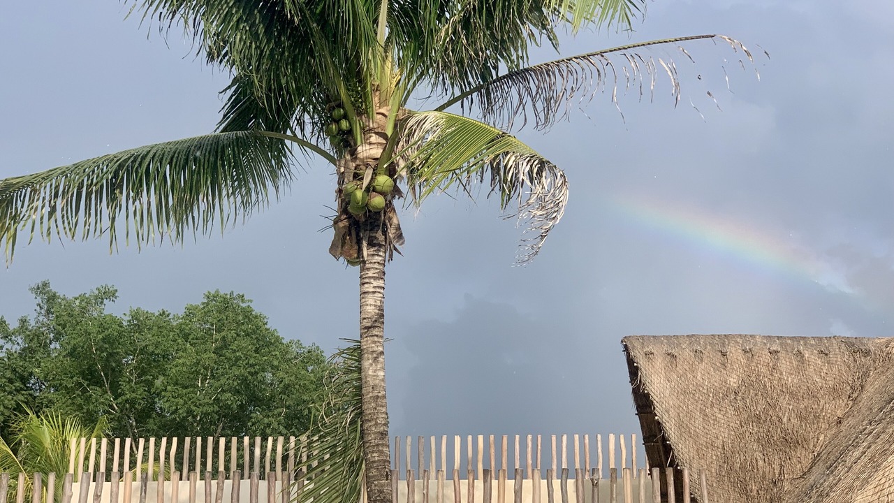 Photo of Others in Solferino