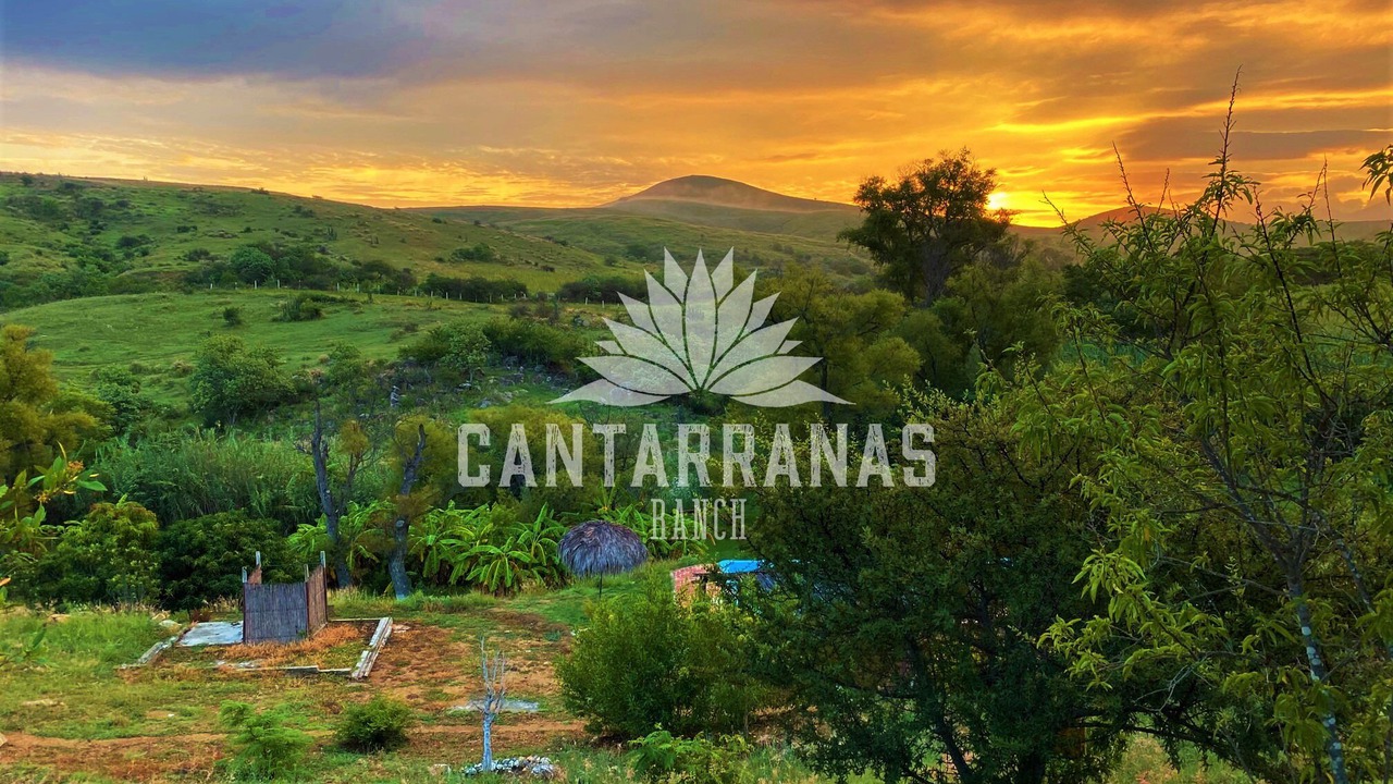 Photo of Outdoor in Heroica Ciudad de Ejutla de Crespo