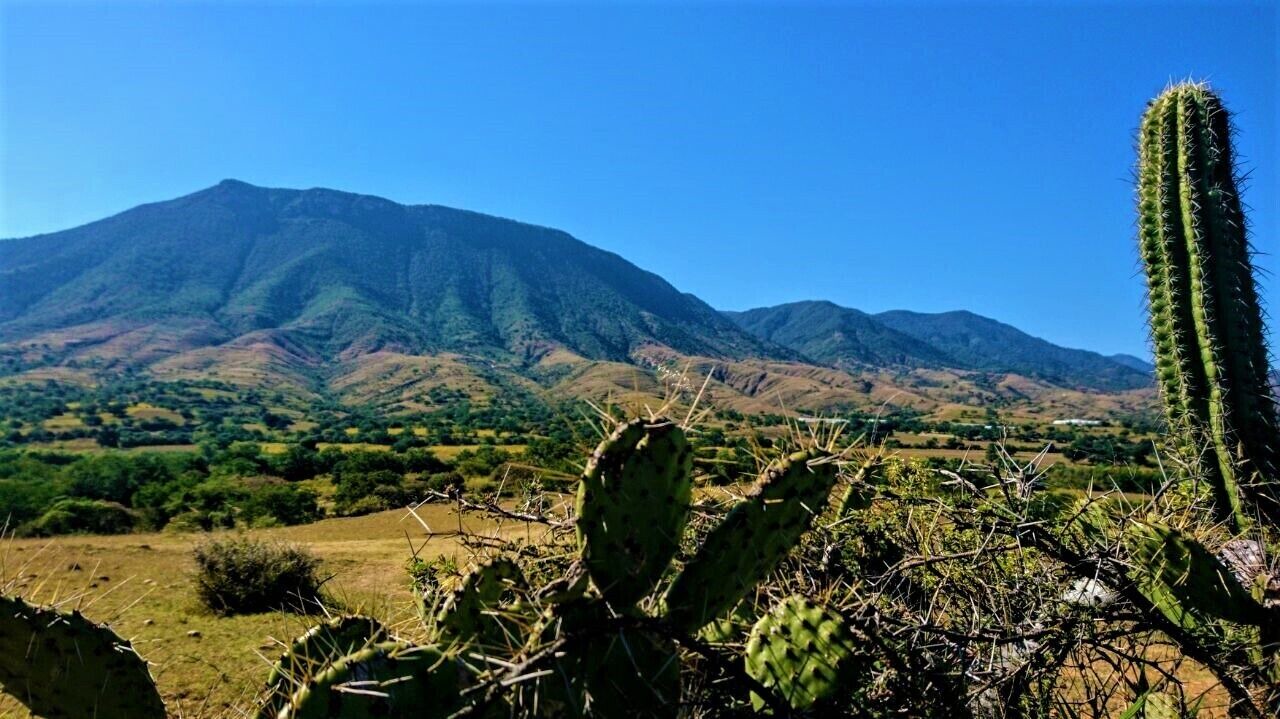 Photo of Others in Heroica Ciudad de Ejutla de Crespo