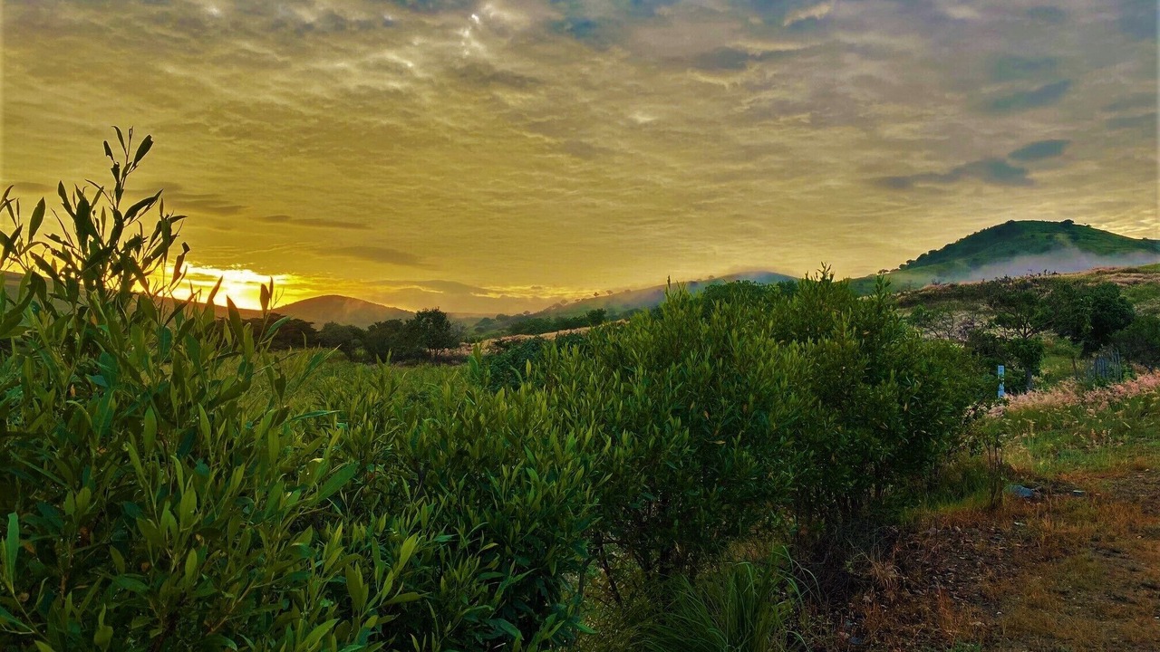 Photo of Outdoor in Heroica Ciudad de Ejutla de Crespo
