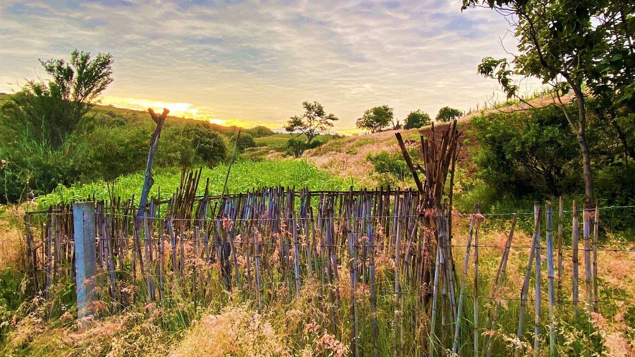 Photo of Outdoor in Heroica Ciudad de Ejutla de Crespo