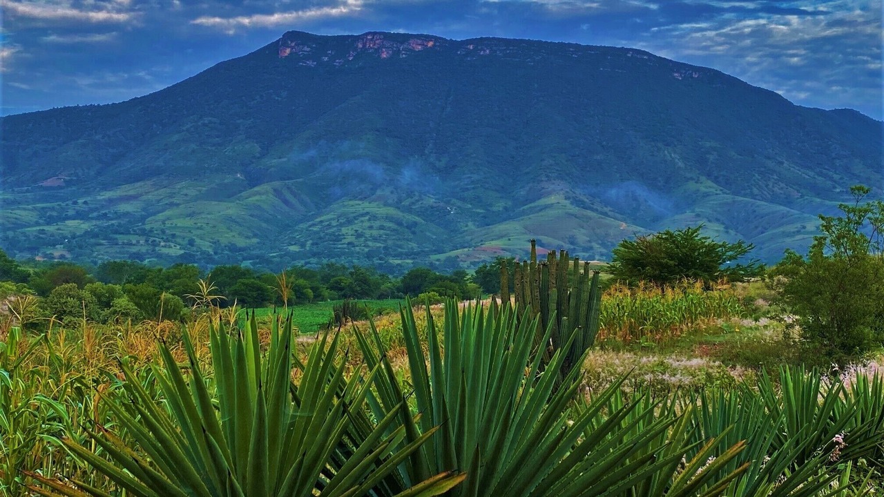 Photo of Outdoor in Heroica Ciudad de Ejutla de Crespo