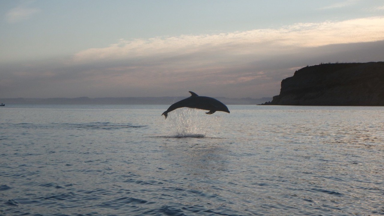 Photo of Others in La Paz