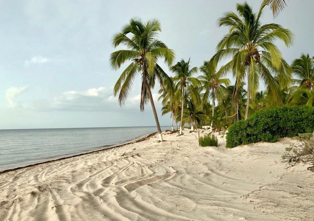 Photo of Others in Sinanche