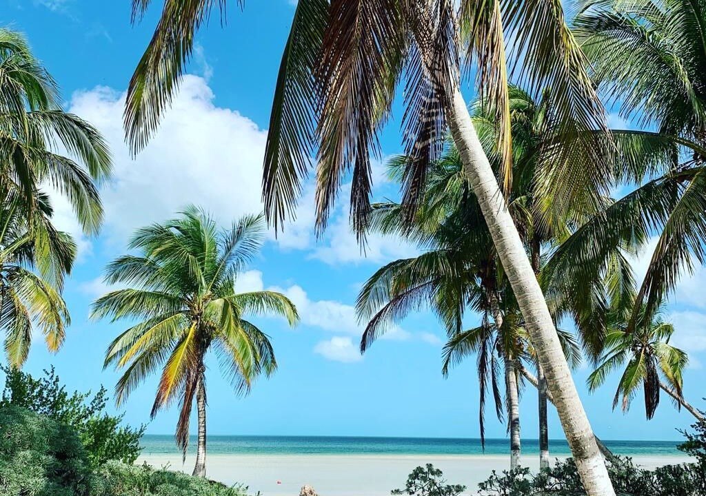 Photo of Others in Sinanche