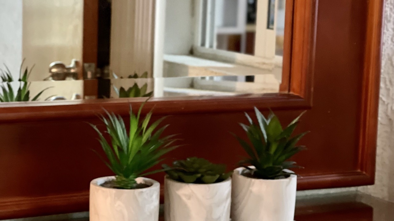 Photo of Others in Guadalajara Municipality