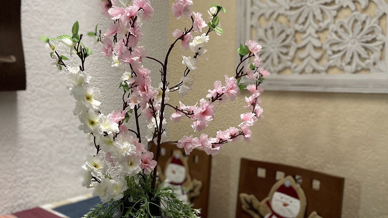 Photo of Others in Guadalajara Municipality