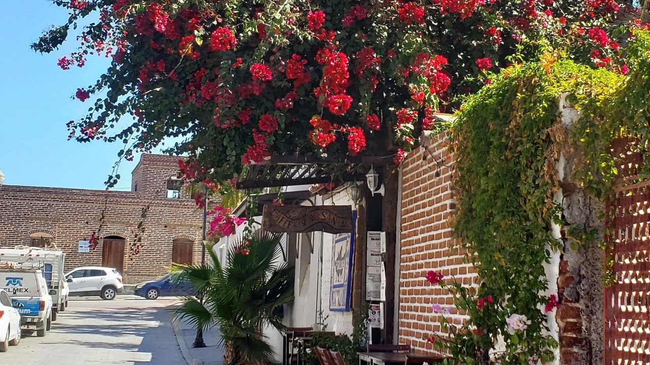 Photo of Outdoor in Todos Santos