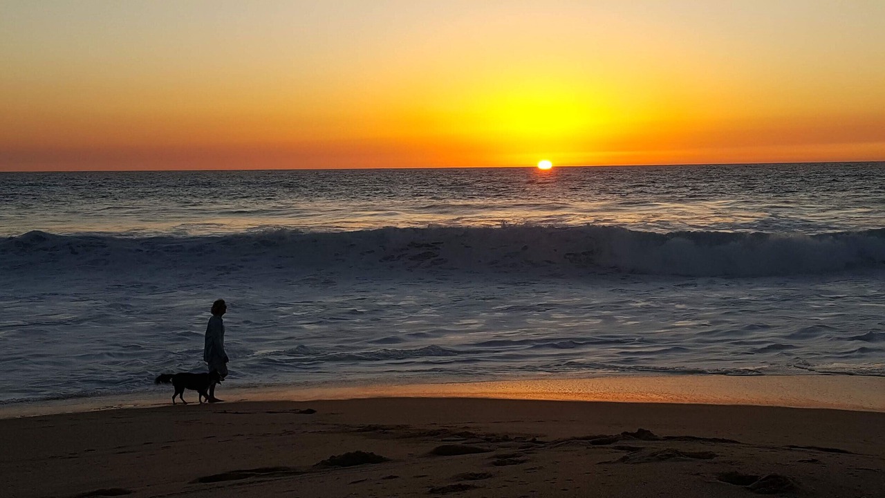 Photo of Others in Todos Santos